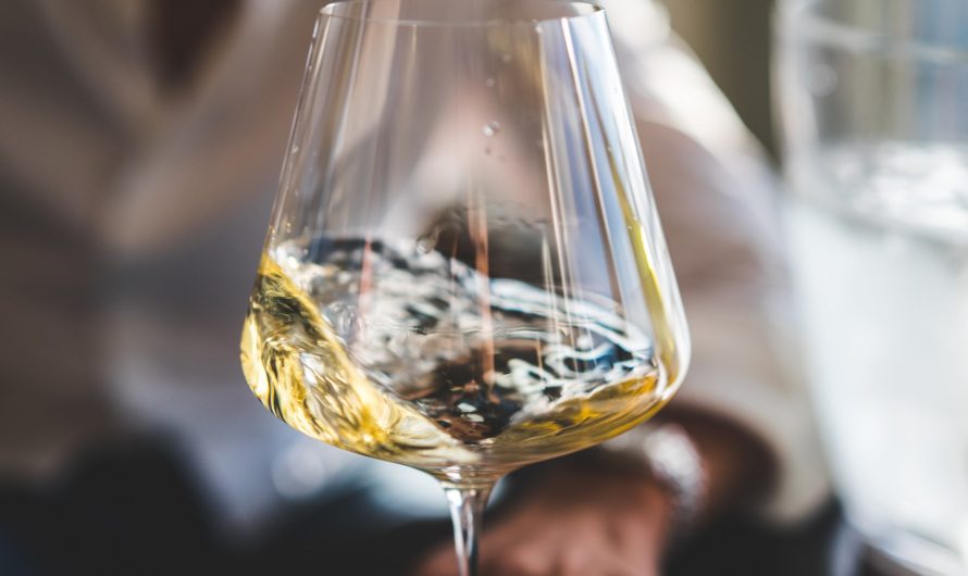 Quels sont les critères à prendre en compte pour choisir un vin adapté à un repas ?